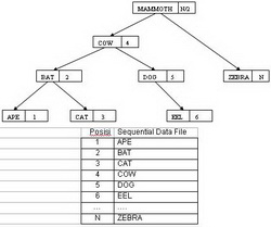 Organisasi Berkas Index Sequential